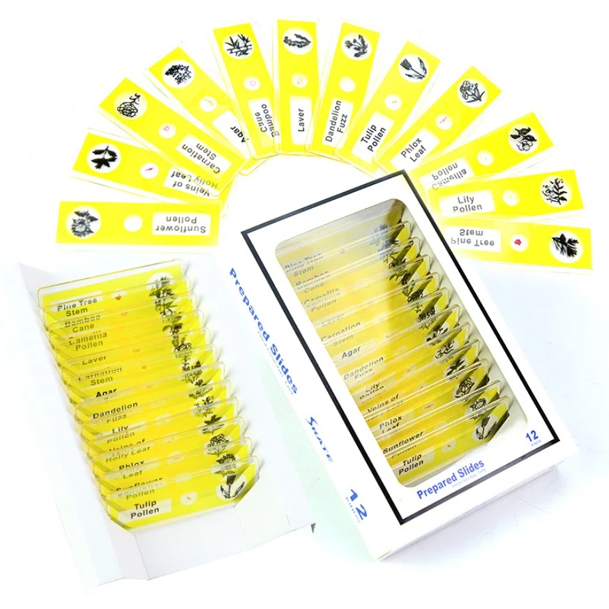 картинка Набор пробников слайдов 12 шт. для микроскопа, растения (желтый) от магазина "мир Электроники"