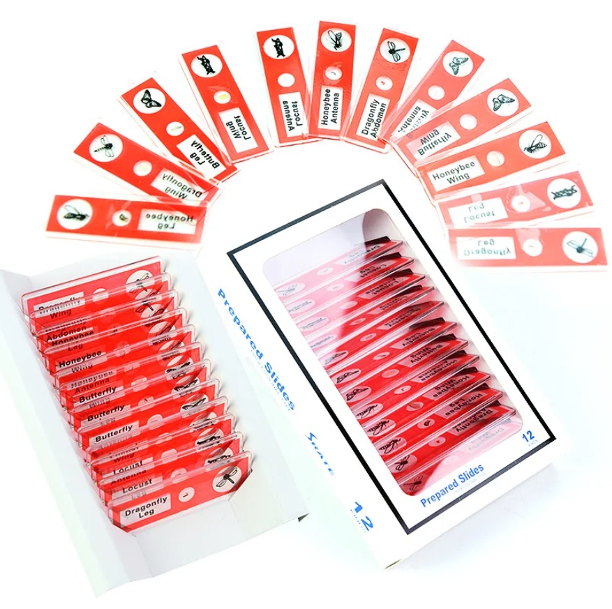 картинка Набор пробников слайдов 12 шт. для микроскопа, насекомые (красный) от магазина "мир Электроники"